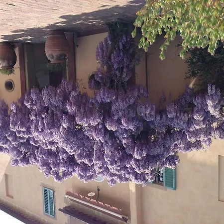 Palazzo Di Valli 3* Siena